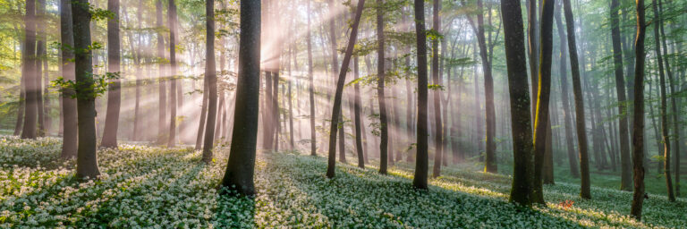 FAQs zum Thema Landschaftsfotografie Header